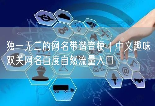 独一无二的网名带谐音梗｜中文趣味双关网名百度自然流量入口